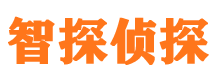 河东区找人公司